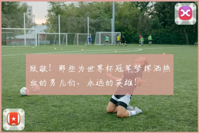致敬!那些为世界杯冠军梦挥洒热血的男儿们,永远的英雄!
