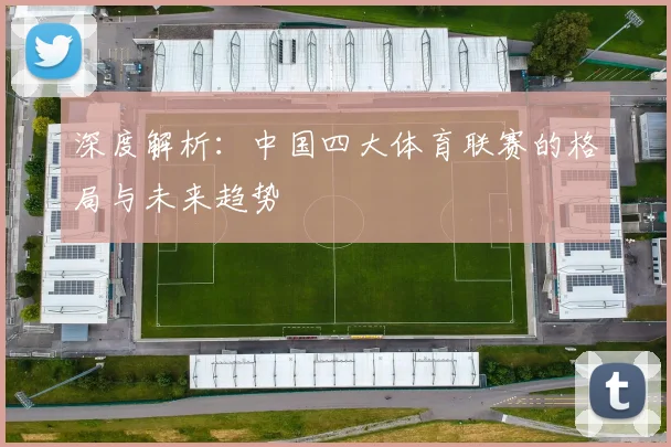 深度解析：中国四大体育联赛的格局与未来趋势