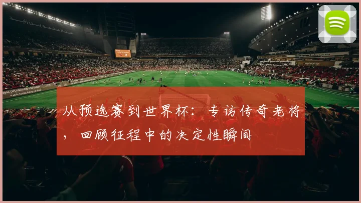 从预选赛到世界杯：专访传奇老将，回顾征程中的决定性瞬间