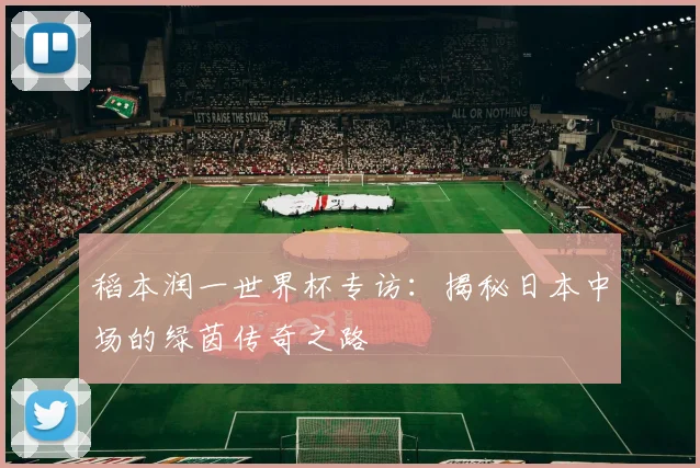 稻本润一世界杯专访：揭秘日本中场的绿茵传奇之路