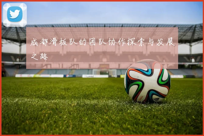 成都滑板队的团队协作探索与发展之路