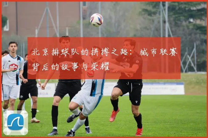 北京排球队的拼搏之路：城市联赛背后的故事与荣耀